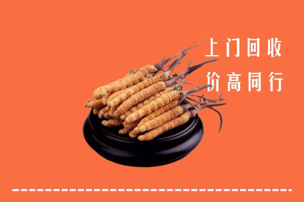 鲅鱼圈区回收冬虫夏草