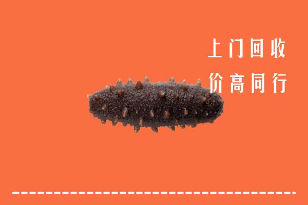 鲅鱼圈区高价回收海参
